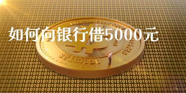 如何向银行借5000元_https://www.lcjysmgs.com_恒指直播平台_第1张