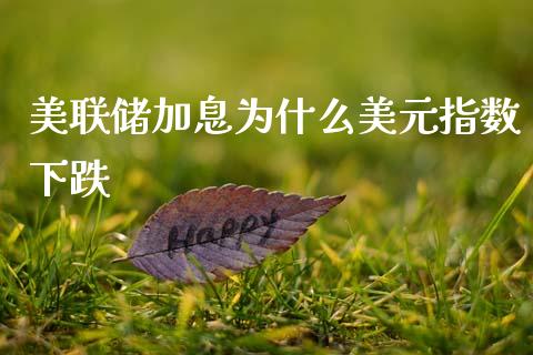 美联储加息为什么美元指数下跌_https://www.lcjysmgs.com_德指行情直播_第1张
