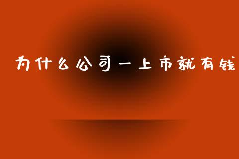 为什么公司一上市就有钱_https://www.lcjysmgs.com_恒指直播平台_第1张