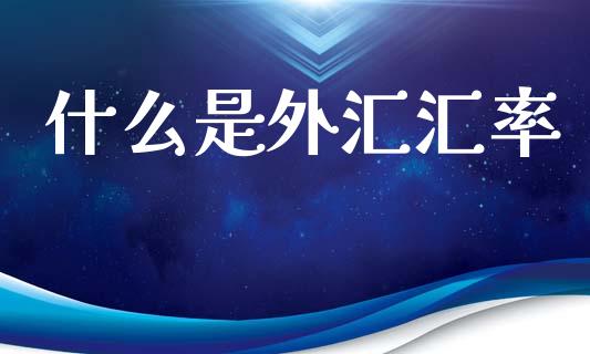 什么是外汇汇率_https://www.lcjysmgs.com_恒指直播平台_第1张