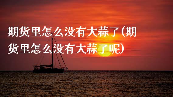 期货里怎么没有大蒜了(期货里怎么没有大蒜了呢)_https://www.lcjysmgs.com_恒生指数直播_第1张