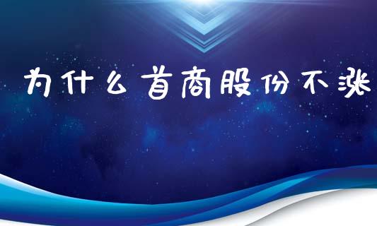 为什么首商股份不涨_https://www.lcjysmgs.com_德指行情直播_第1张