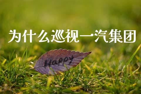 为什么巡视一汽集团_https://www.lcjysmgs.com_恒生指数直播_第1张