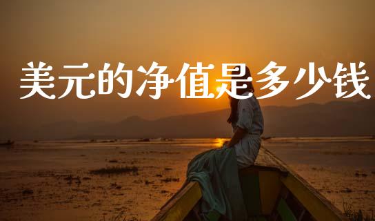 美元的净值是多少钱_https://www.lcjysmgs.com_黄金期货直播喊单_第1张