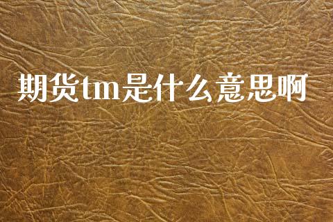 期货tm是什么意思啊_https://www.lcjysmgs.com_黄金期货直播喊单_第1张