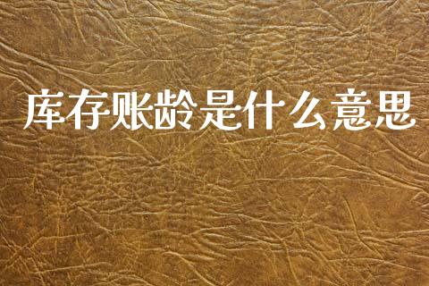 库存账龄是什么意思_https://www.lcjysmgs.com_恒生指数直播_第1张