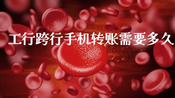 工行跨行手机转账需要多久_https://www.lcjysmgs.com_德指行情直播_第1张