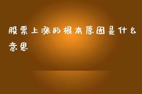 股票上涨的根本原因是什么意思_https://www.lcjysmgs.com_恒指直播平台_第1张