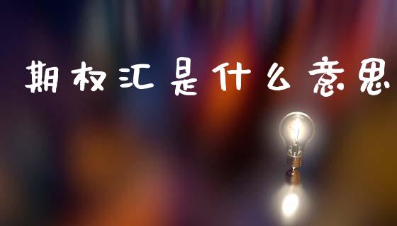 期权汇是什么意思_https://www.lcjysmgs.com_恒指直播平台_第1张