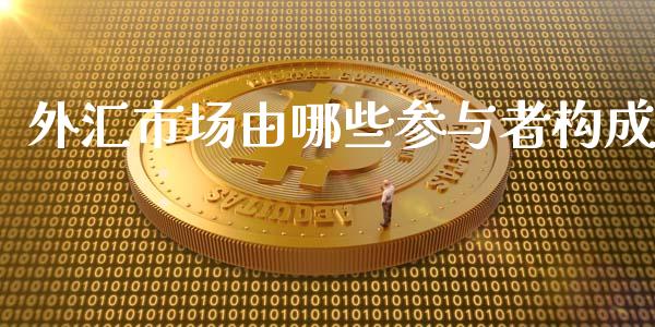 外汇市场由哪些参与者构成_https://www.lcjysmgs.com_恒生指数直播_第1张