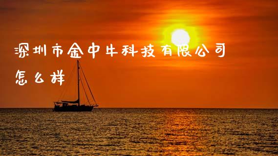 深圳市金中牛科技有限公司怎么样_https://www.lcjysmgs.com_恒生指数直播_第1张