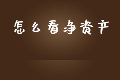 怎么看净资产_https://www.lcjysmgs.com_黄金期货直播喊单_第1张