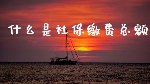 什么是社保缴费总额_https://www.lcjysmgs.com_恒生指数直播_第1张