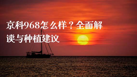 京科968怎么样？全面解读与种植建议_https://www.lcjysmgs.com_德指行情直播_第1张
