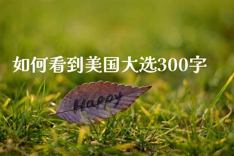 如何看到美国大选300字_https://www.lcjysmgs.com_恒生指数直播_第1张