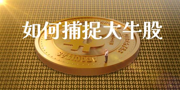 如何捕捉大牛股_https://www.lcjysmgs.com_恒生指数直播_第1张