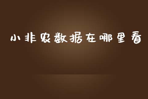 小非农数据在哪里看_https://www.lcjysmgs.com_恒生指数直播_第1张