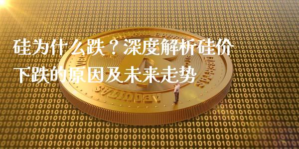 硅为什么跌？深度解析硅价下跌的原因及未来走势_https://www.lcjysmgs.com_恒指直播平台_第1张