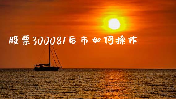 股票300081后市如何操作_https://www.lcjysmgs.com_德指行情直播_第1张