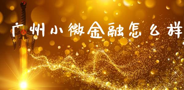 广州小微金融怎么样_https://www.lcjysmgs.com_德指行情直播_第1张