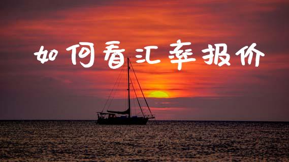 如何看汇率报价_https://www.lcjysmgs.com_恒生指数直播_第1张