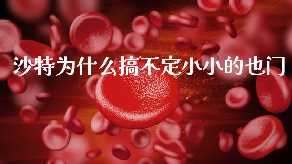 沙特为什么搞不定小小的也门_https://www.lcjysmgs.com_恒指直播平台_第1张