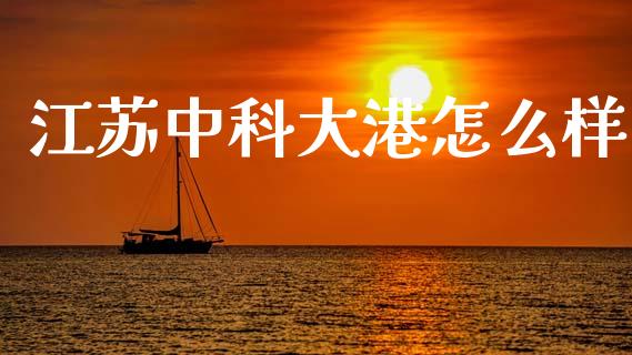 江苏中科大港怎么样_https://www.lcjysmgs.com_黄金期货直播喊单_第1张