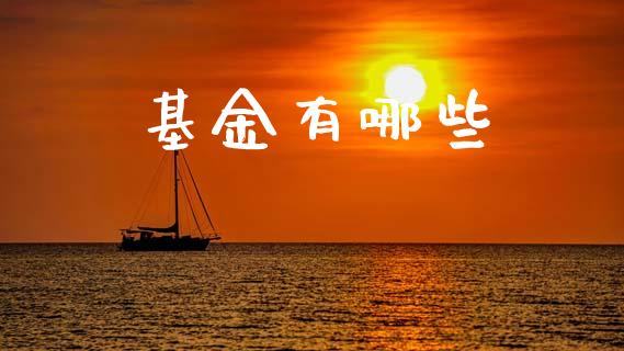 基金有哪些_https://www.lcjysmgs.com_恒指直播平台_第1张