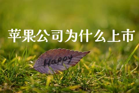 苹果公司为什么上市_https://www.lcjysmgs.com_恒指直播平台_第1张