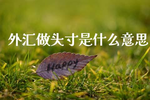 外汇做头寸是什么意思_https://www.lcjysmgs.com_德指行情直播_第1张