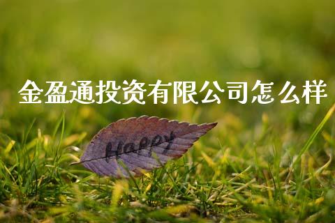 金盈通投资有限公司怎么样_https://www.lcjysmgs.com_恒指直播平台_第1张