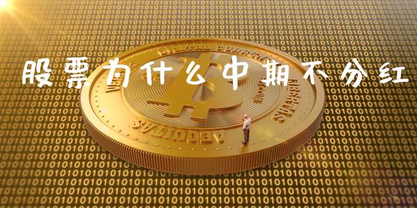 股票为什么中期不分红_https://www.lcjysmgs.com_恒生指数直播_第1张