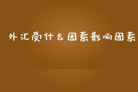 外汇受什么因素影响因素_https://www.lcjysmgs.com_恒生指数直播_第1张