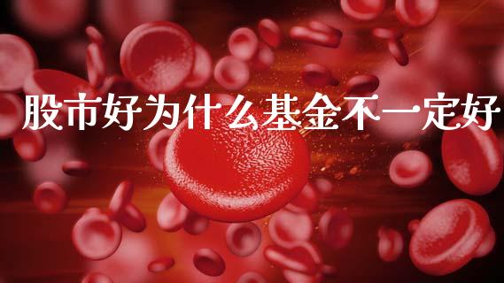 股市好为什么基金不一定好_https://www.lcjysmgs.com_黄金期货直播喊单_第1张