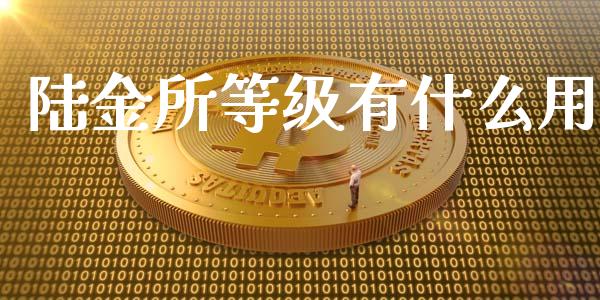 陆金所等级有什么用_https://www.lcjysmgs.com_黄金期货直播喊单_第1张
