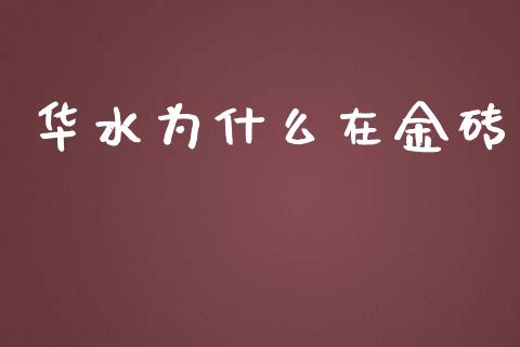 华水为什么在金砖_https://www.lcjysmgs.com_德指行情直播_第1张