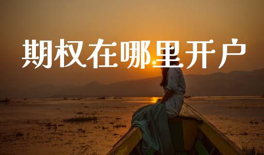 期权在哪里开户_https://www.lcjysmgs.com_恒指直播平台_第1张