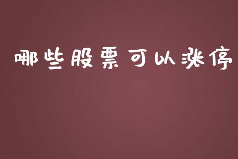 哪些股票可以涨停_https://www.lcjysmgs.com_恒生指数直播_第1张