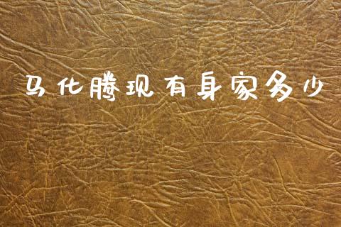 马化腾现有身家多少_https://www.lcjysmgs.com_恒指直播平台_第1张