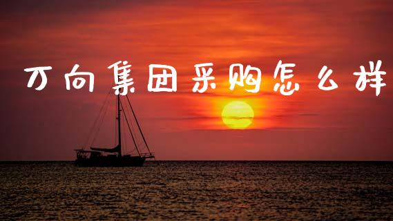 万向集团采购怎么样_https://www.lcjysmgs.com_恒指直播平台_第1张