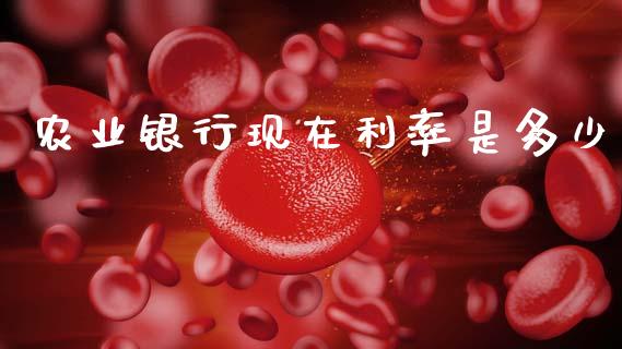 农业银行现在利率是多少_https://www.lcjysmgs.com_黄金期货直播喊单_第1张