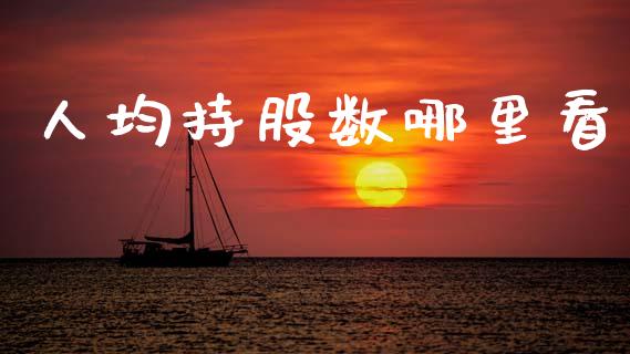 人均持股数哪里看_https://www.lcjysmgs.com_恒指直播平台_第1张